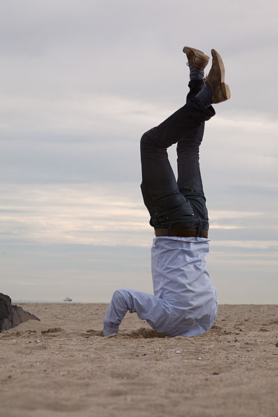 File:Bury your head in the sand.jpg